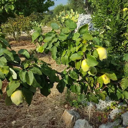 Trullo Del Vento * אוסטוני