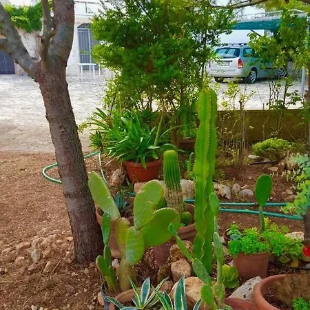 בית נופש Trullo Del Vento אוסטוני