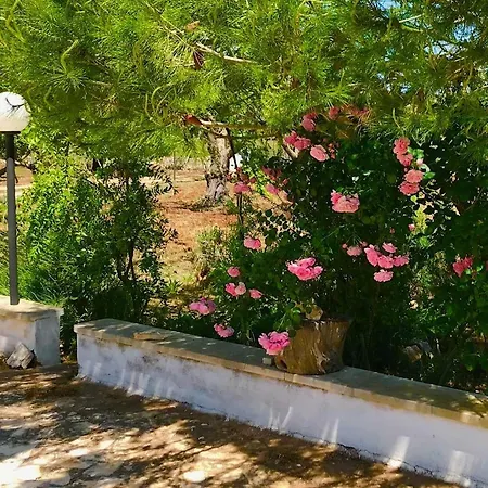 בית נופש Trullo Del Vento אוסטוני