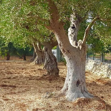 Trullo Del Vento * אוסטוני